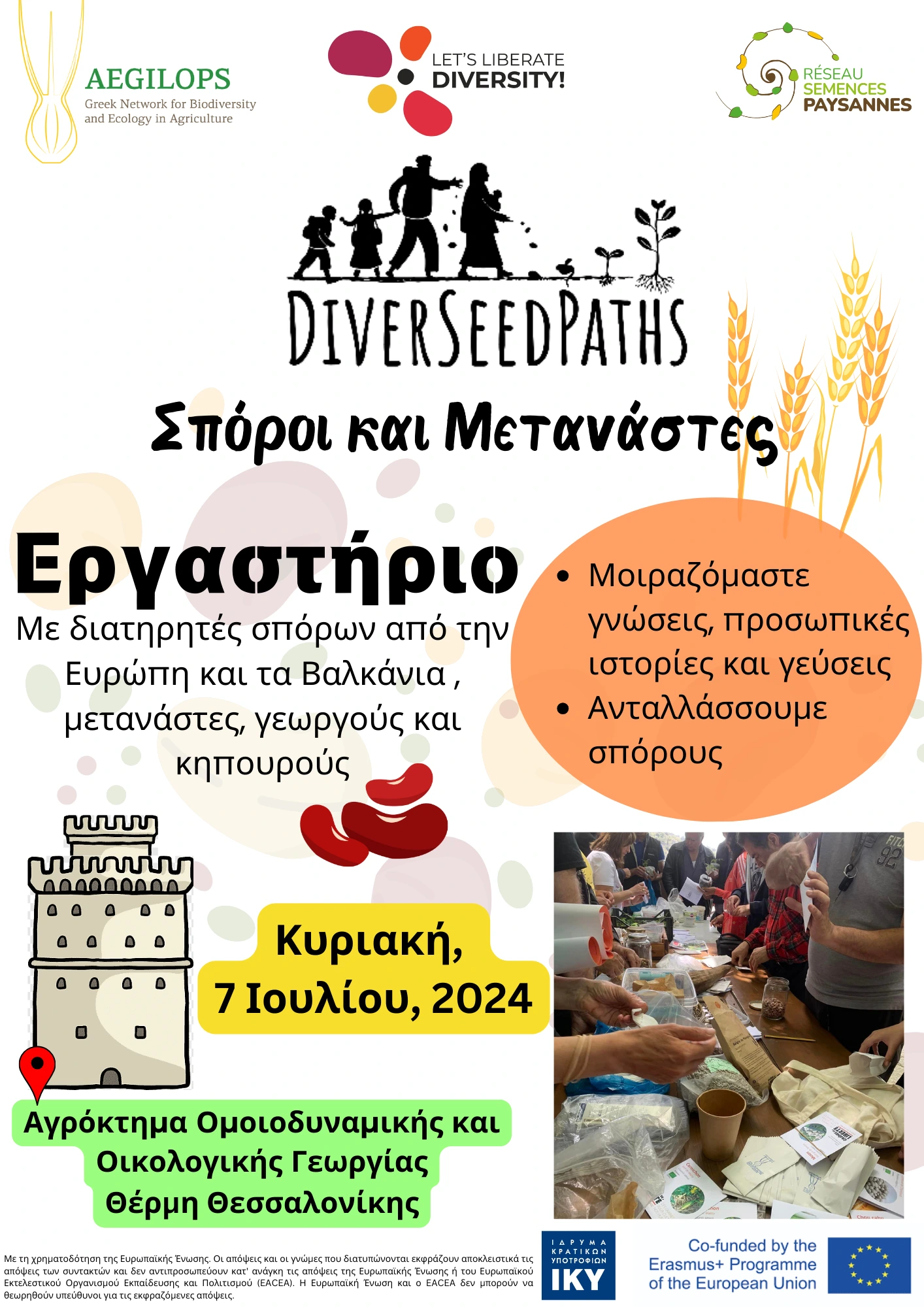 DIVERSEEDPATHS – Εργαστήριο με διατηρητές σπόρων, μετανάστες, γεωργούς και κηπουρούς στη Θεσσαλονίκη.
