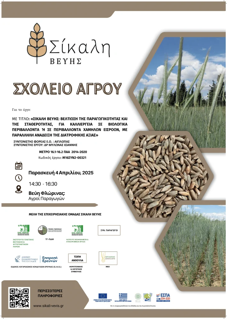 Σίκαλη Βεύης αφισα ΣΧΟΛΕΙΟ ΑΓΡΟΥ compressed 1