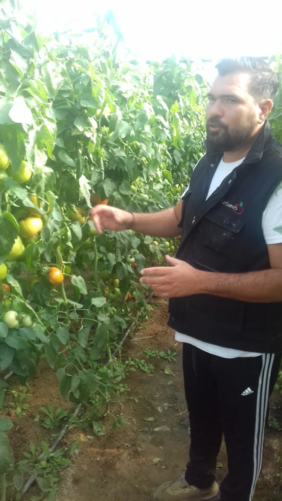 Επίσκεψη στη Πρέβεζα στα πλαίσια του Μέτρου 16 για την Ελληνική Τομάτα του ΠΑΑ 2014-2020 7 20241110 110229
