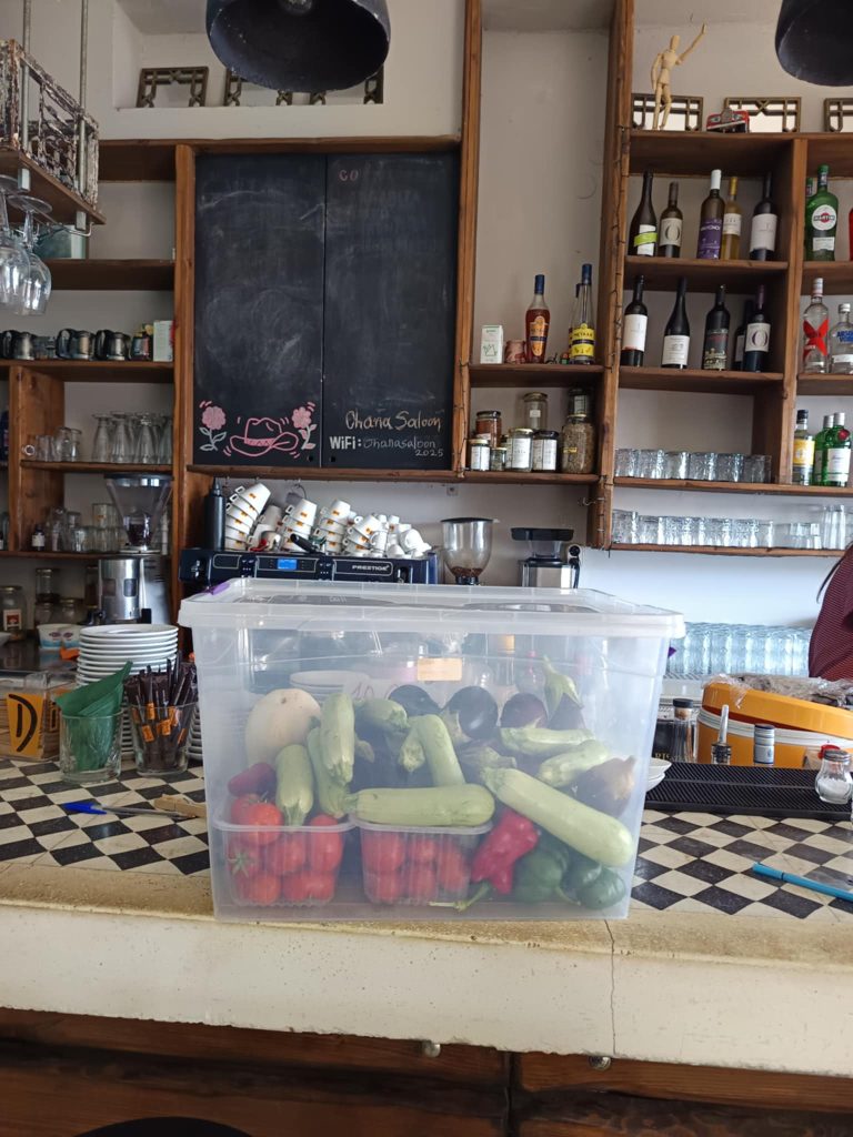 Συνάντηση του Δικτύου για τη Διατήρηση Τοπικών Ποικιλιών Σπόρων στη Λέσβο 2 41830562 7a03 4aa4 8d03 524fecf427ba