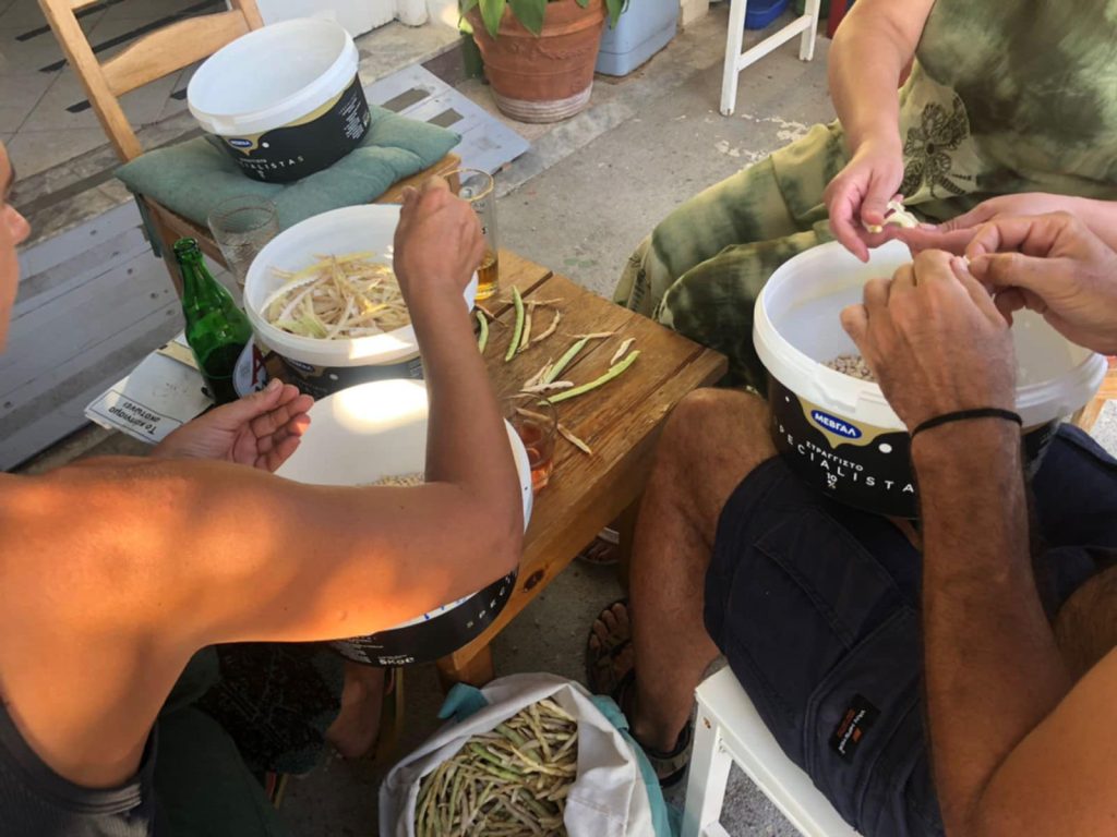 Συνάντηση του Δικτύου για τη Διατήρηση Τοπικών Ποικιλιών Σπόρων στη Λέσβο 10 7d11a0fb 88b3 4b86 83ad 18508d44331f