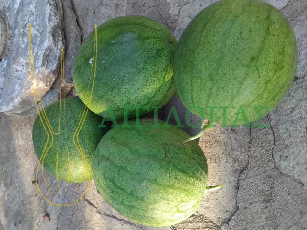 %CE%95%CE%B9%CE%BA%CF%8C%CE%BD%CE%B15%CE%A6