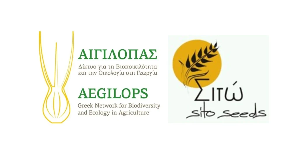ΑΙΓΙΛΟΠΑΣ ΣΙΤΩ