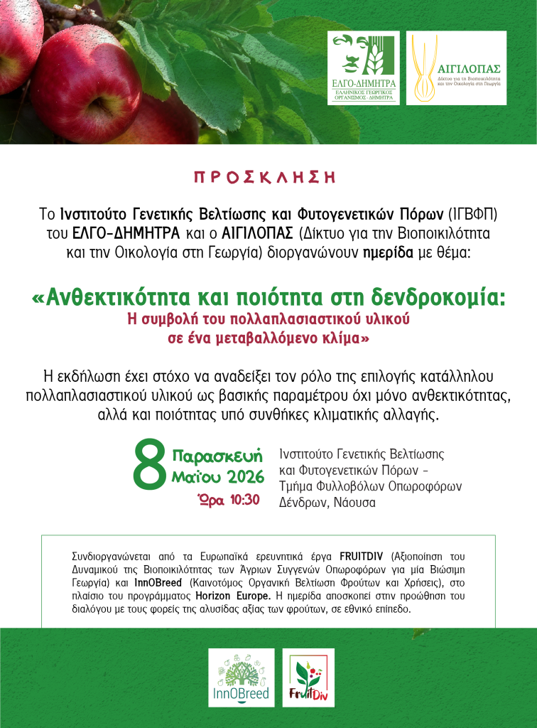 Hmerida Naoussa Prosklisi