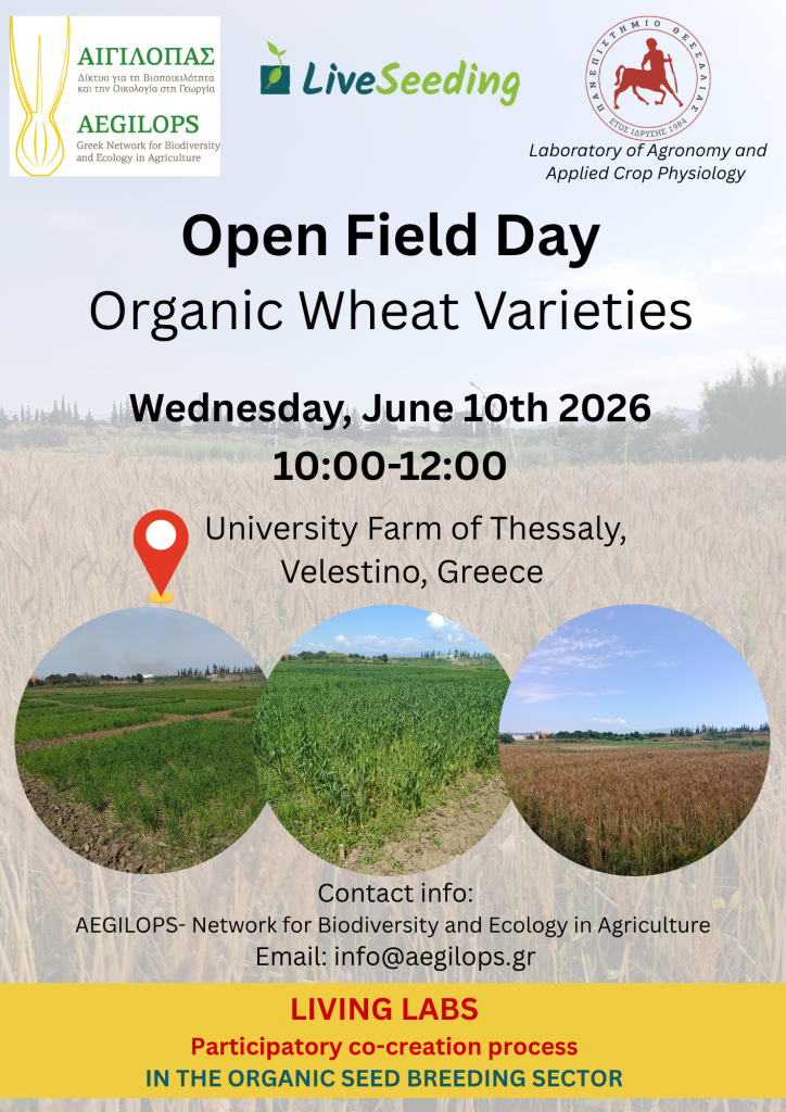 Open Field Day: Organic Wheat Varieties (Living Lab - LIVESEEDING) 2 %CE%97%CE%BC%CE%AD%CF%81%CE%B1 %CE%91%CE%BD%CE%BF%CE%B9%CF%87%CF%84%CE%BF%CF%8D %CE%91%CE%B3%CF%81%CE%BF%CF%8D 10 %CE%99%CE%BF%CF%85%CE%BD%CE%AF%CE%BF%CF%85 20265