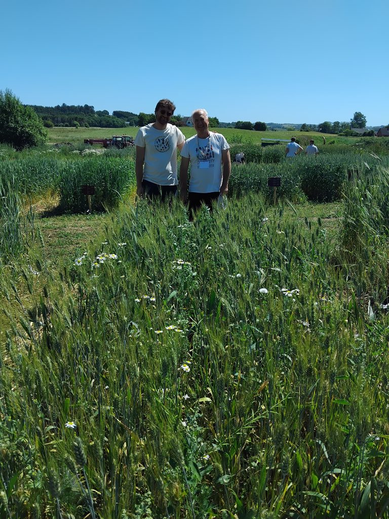 Πανευρωπαϊκό Φεστιβάλ Σιτηρών, Δανία 25&26 Ιουνίου 2026 5 IMG 20260625 121854