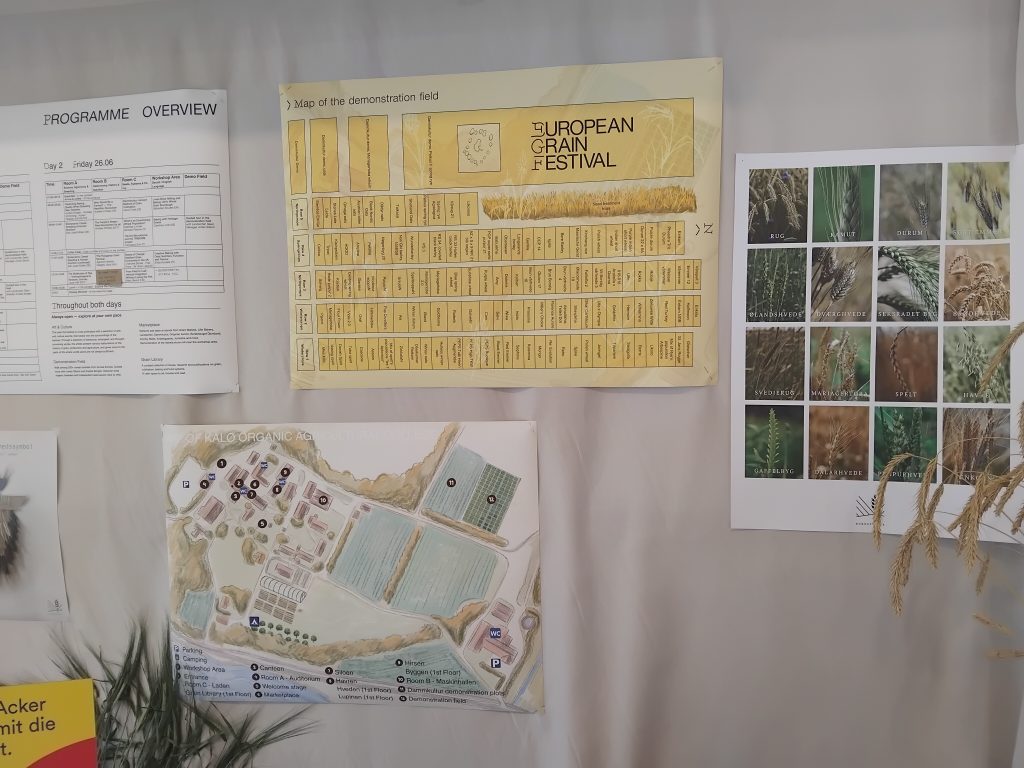 Πανευρωπαϊκό Φεστιβάλ Σιτηρών, Δανία 25&26 Ιουνίου 2026 9 IMG 20260626 110447